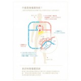 CirQ-Life Plus 循血寧 (特效)