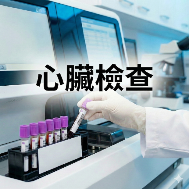 心臟檢查 I 心臟檢查 I