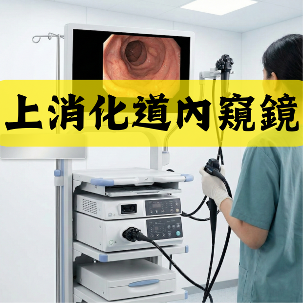 上消化道內窺鏡 (包括幽門螺旋菌測試及用手術鉗抽取活組織之費用)