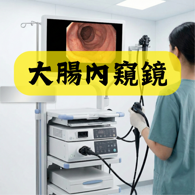 大腸內窺鏡 (包括用手術鉗抽取活組織之費用)